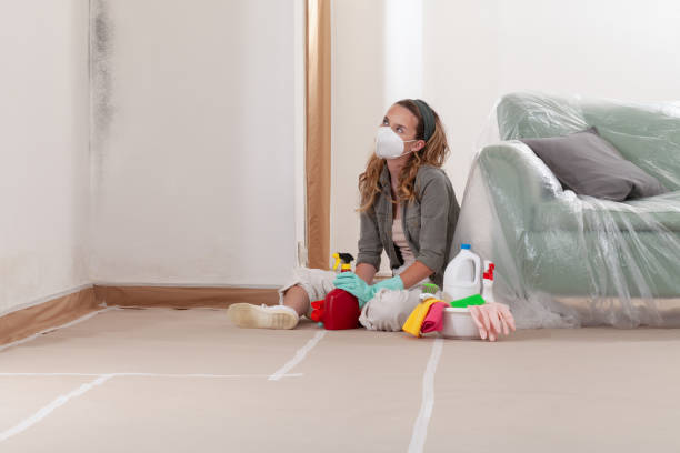 Reliable Basement Mold Remediation contractor in Hastings, MI by Mold Remediation HQ